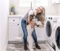 CES和你的生活最相关的信息都在这里了