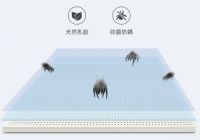索迪亚天然乳胶床垫，您身边的深度睡眠专家