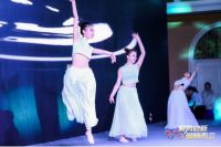 “安天下，耀中华”2020年迎春答谢晚会