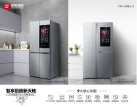 国美年货大集| 智慧新风潮，把AI带回家