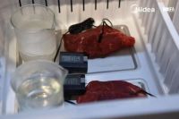 实力成就口碑，解读美的冰箱凭何引领行业科技发展新风向