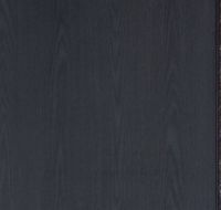 CEI入户装甲门—装甲门民族品牌的特斯拉