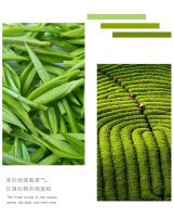 【YASLAN】一抹「时尚鲜绿」唤醒自然呼吸