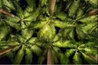 细分应用品类，如何牢牢嵌入智能家居生态圈？