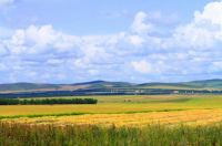 令人向往的田园生活，大概是这样…