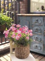 理想中的家&nbsp;质朴自然，触手可及