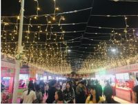 2020年人和迎春花市暨汉唐文化节，1月10日盛大开幕