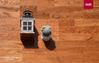 圣象三层三拼花实木地板，有颜值、更有才华！