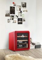 亲爱的客栈3：带你体验别样风情的音乐餐吧 哈士奇HCK复古