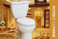 评测：节水、时尚的圣托玛斯CT-1130座便器