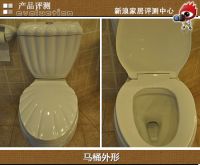 评测：节水、时尚的圣托玛斯CT-1130座便器