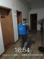 VR助力，同心战疫，圣保罗2.15开启特惠购活动