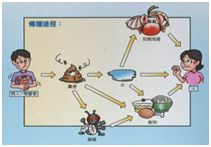 燕郊新浪<a href=