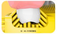 艾诗摩尔儿童牙刷帮孩子维护“防疫”时期的口腔健康