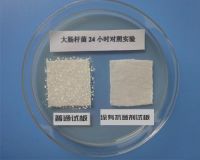 防疫聚焦︱新冠肺炎肆虐 如何为医院建筑提高空间“免疫力”？