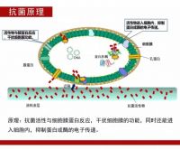 防疫聚焦︱新冠肺炎肆虐 如何为医院建筑提高空间“免疫力”？