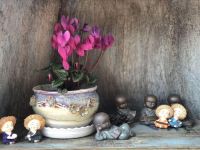 她说丨星饰居刘晓燕：工作与生活，均不可辜负