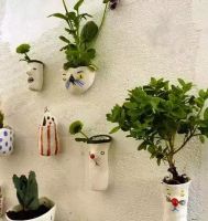 家里没地方养花？看了这些你还会辩解吗？