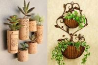 家里没地方养花？看了这些你还会辩解吗？