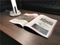 宅家学习不用怕 护眼灯下少牵挂