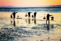 日照当地大叔整理的吃海鲜防宰攻略，日照吃海鲜哪里好