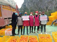 凝心聚力齐上阵 永辉疫情狙击战 防疫保供稳民生 永辉在行动