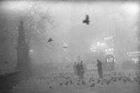 从灰色时代走过来的欧洲人，是如何化解环境危机的？