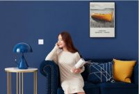 新品上市 | Aqara智能开关D1系列正式开售