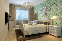 装修美图 | 蓝桥驿苑 55 平米现代风格夏日春天 (3)张