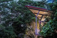 Hidden单间公寓 雨林树冠上漂浮的盒子