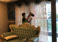 不要急病乱投医，除甲醛就找格绿丝！