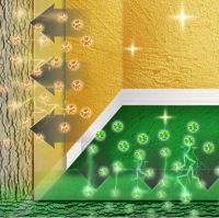 德高彩色防潮渗透型加固剂，空降上市！