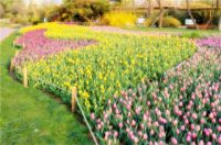 日照旅游攻略，免费好玩的景点，万平口免门票了