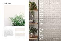 新品 | 用一面有颜色的墙，去迎接每一个明天