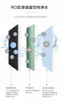 400加仑大通量的小Biu净水机青春版，315超值钜惠价仅799