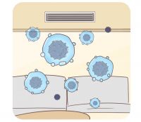 躲不掉的春日烦恼，如何应对无处不在的花粉过敏？