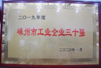 荣耀时刻丨金帝集成灶荣获纳税二十强，工业三十强