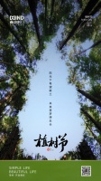 鑫迪木门：阳光下希望破土，未来里梦想成长