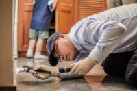 居家推荐：家里有蟑螂怎么办？如何打好春季虫害防卫战