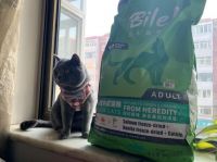 看中国宠粮的崛起，符合国际标准的比乐宠粮