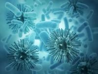 《去除生物气溶胶论坛》举行，LIFAair为每一次呼吸负责