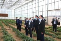 联塑集团发力现代农业，投资高端花卉种植产业建设