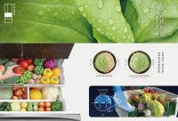 米其林大厨青睐的星级冰箱 东芝芝味冰箱获“特能装”之王