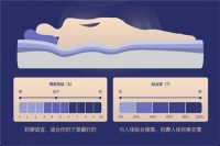京东携手深家协等专业合作伙伴推出床垫“度量衡”