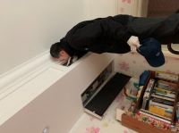 除虫灭鼠公司告诉你，家里有老鼠怎么消灭最彻底？