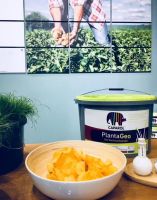 精诚所至，德国涂料德爱威以真心诚意撼动市场