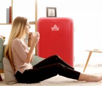 浪漫温馨的二人世界，有HCK哈士奇复古小冰箱的陪伴