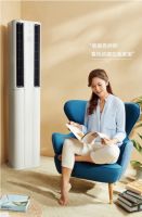 满屋春风关不住！TCL T睿空调用智慧柔风技术打造诗意生活