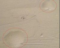 【德叔课堂】看完，你还敢省掉基层处理吗？