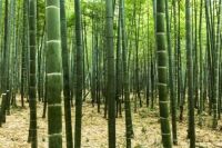 喜梦宝儿童床垫，给宝宝一个健康又舒适的睡眠